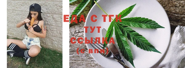 гидра Ессентукская