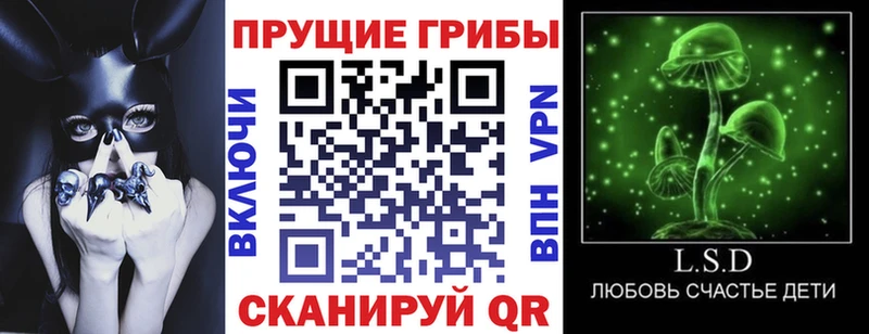 где купить наркотик  Балабаново  Галлюциногенные грибы MAGIC MUSHROOMS 
