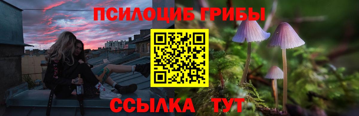 Балабаново  Галлюциногенные грибы Psilocybe  где найти   Вход с VPN 
